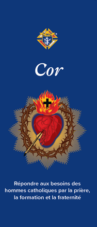 Starting Cor in 3 Steps