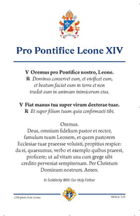 Prayer for Pope Leo XIV