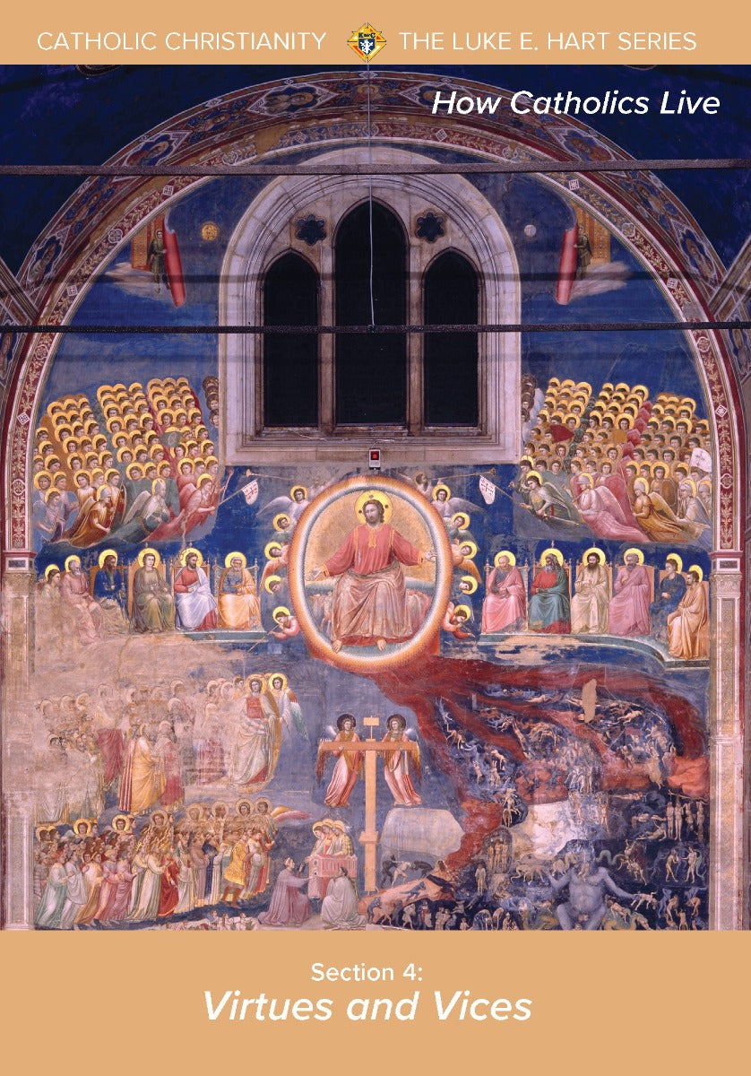Virtues and Vices