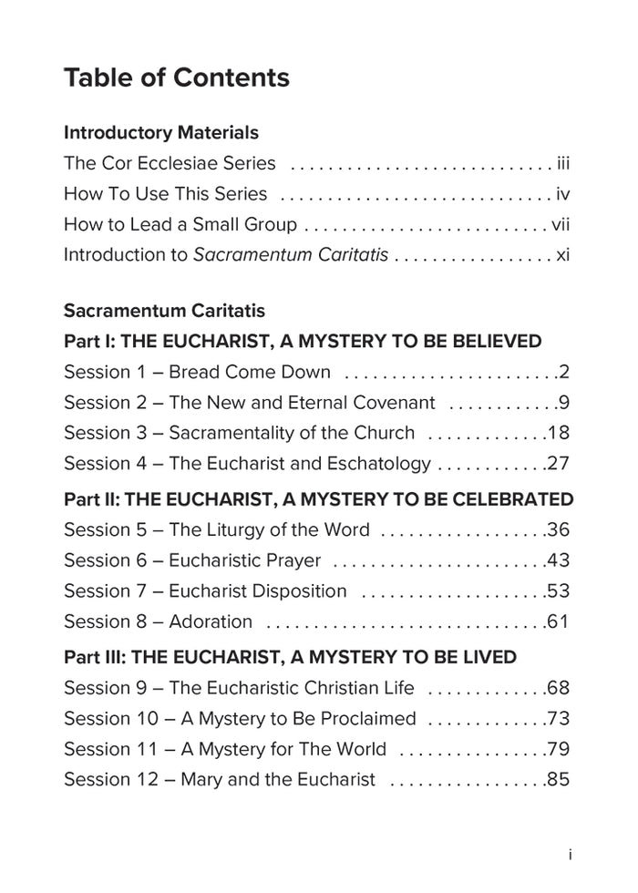 Sacrement de Charité : Guide d'étude en petits groupes sur Sacramentum Caritatis