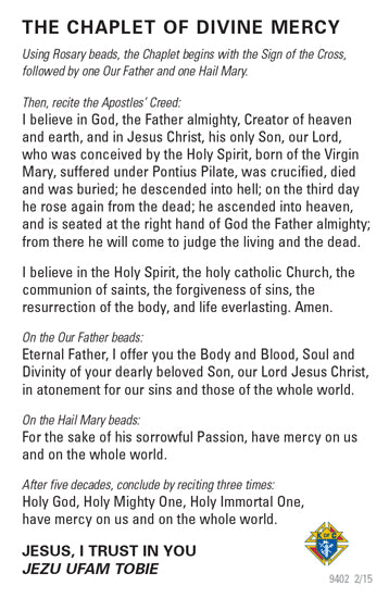Divine Mercy Prayer Card