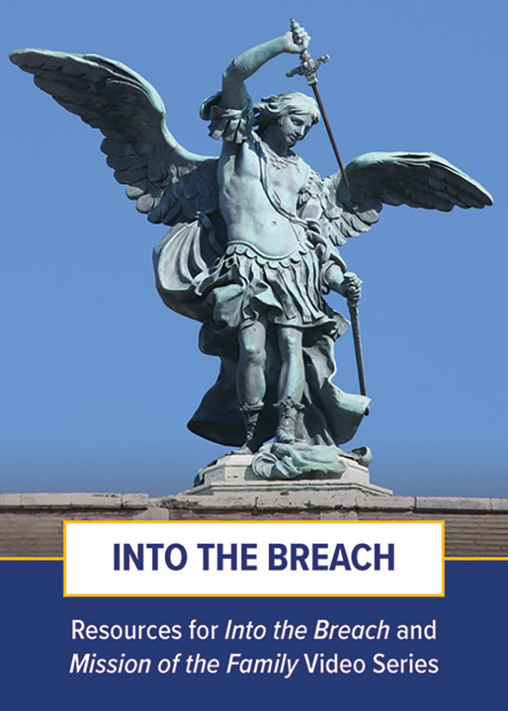Folleto Into the Breach