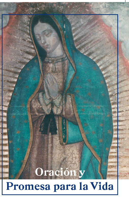 Lady of Guadalupe Pledge Card