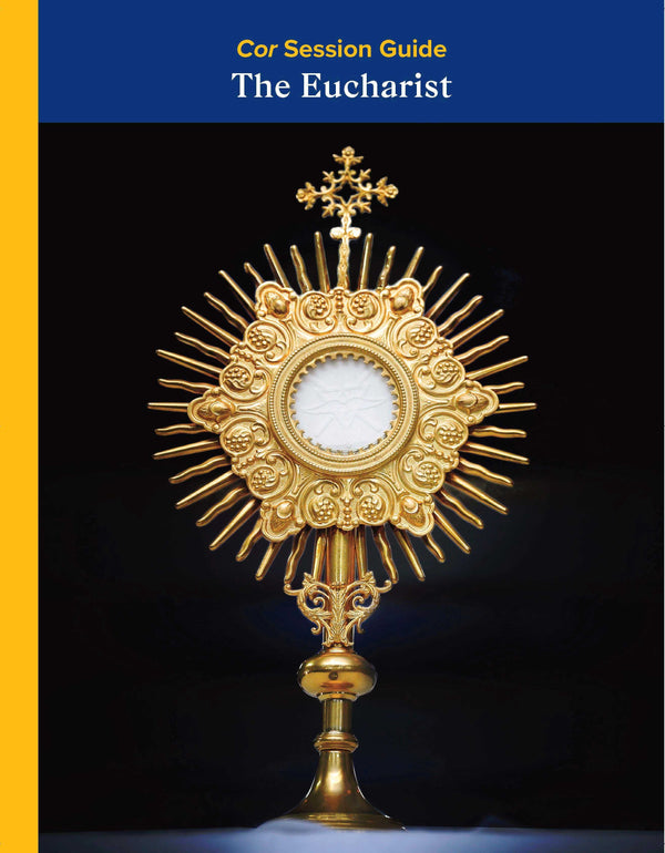 Collections – Shop Catholic Info