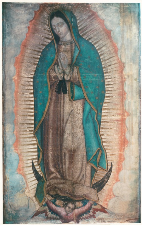 Our Lady of Guadalupe