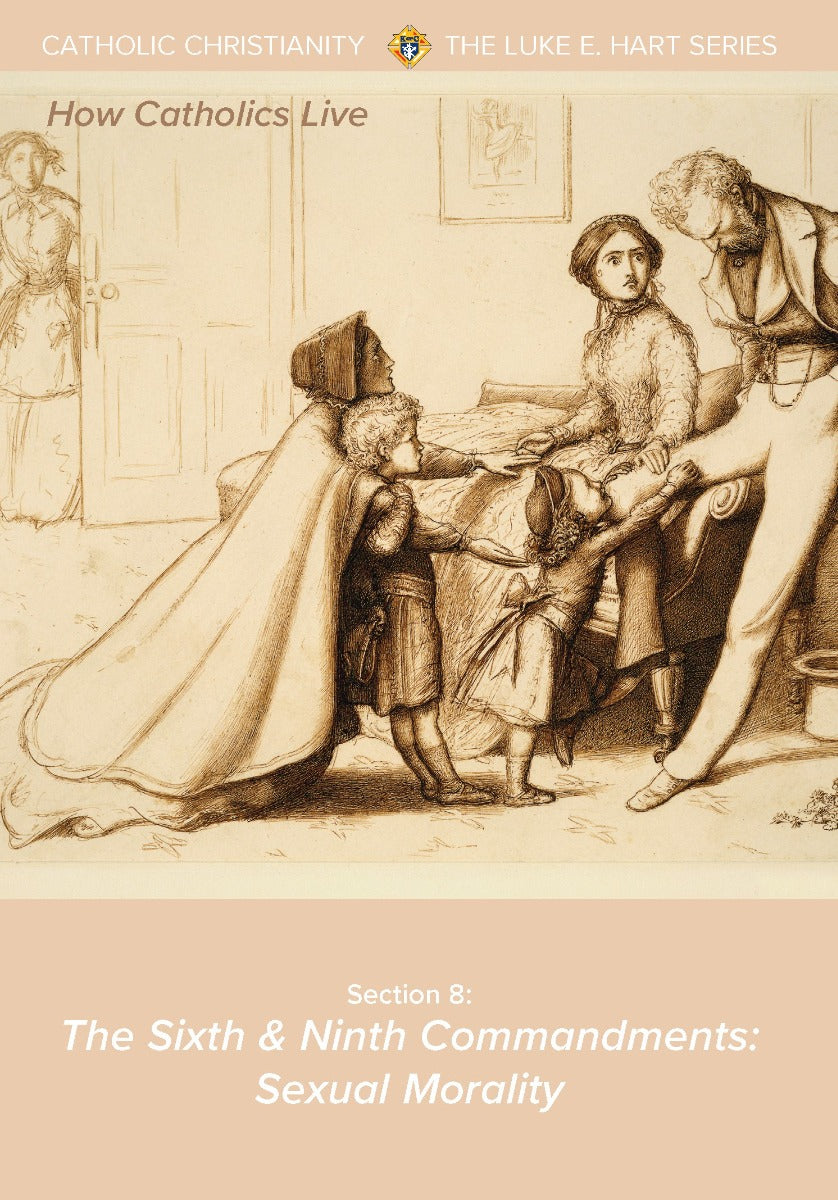The Sixth and Ninth Commandments: Sexual Morality – Shop Catholic Info
