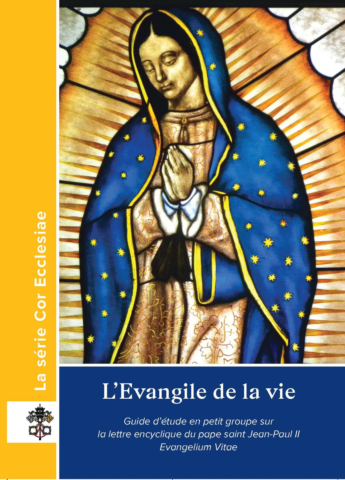 The Gospel of Life Cor Study Guide