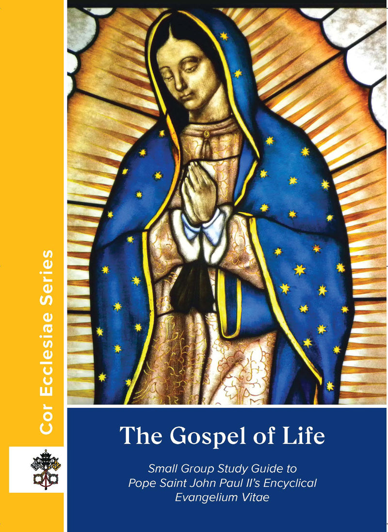 The Gospel of Life Cor Study Guide