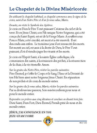Divine Mercy Prayer Card