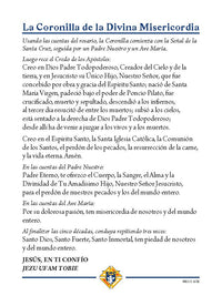 Divine Mercy Prayer Card