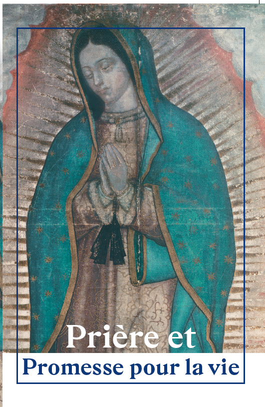 Lady of Guadalupe Pledge Card