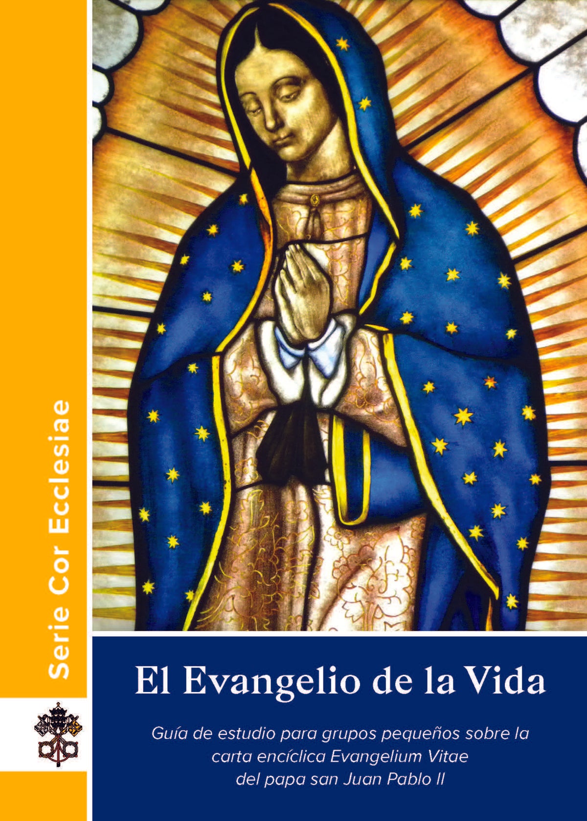 The Gospel of Life Cor Study Guide